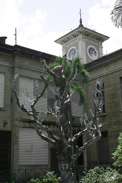 Arbol de la Vida