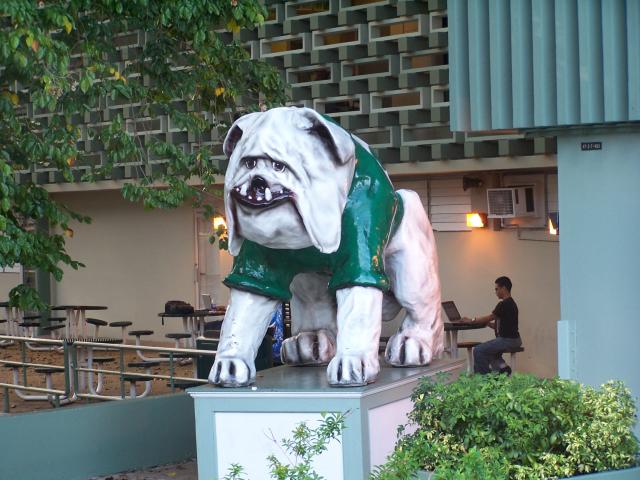 Bulldog-1
