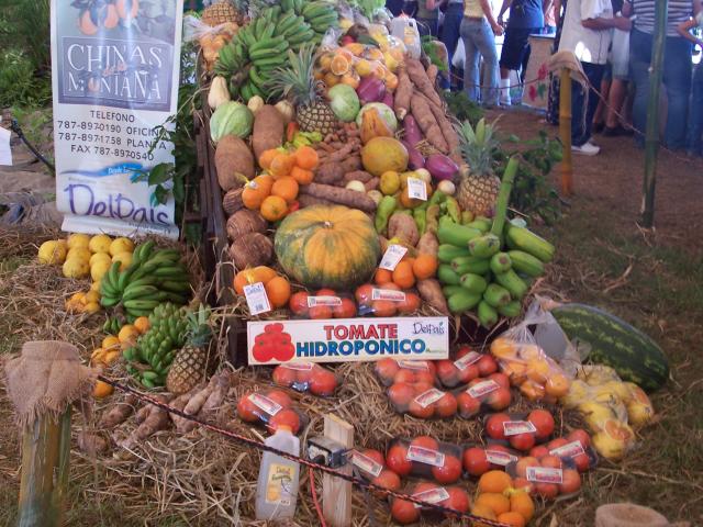 Puerto Rico Products at Cinco Dias Tierra